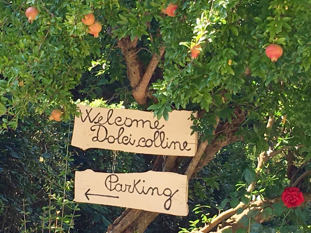 Borgo Dolci Colline Villa Castiglion Fiorentino Luaran gambar